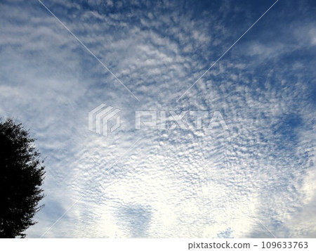 秋天的天空,雲彩 秋天的天空,雲彩 109633763