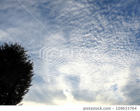 秋天的天空,雲彩 秋天的天空,雲彩 109633764