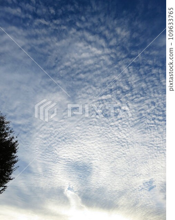 秋天的天空,雲彩 秋天的天空,雲彩 109633765