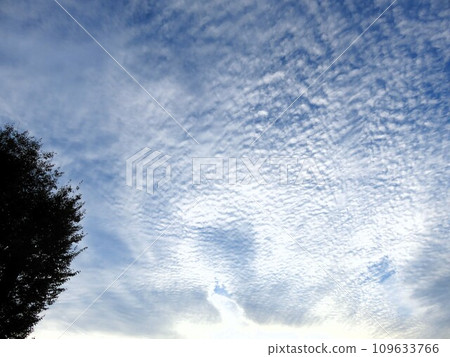 秋天的天空,雲彩 秋天的天空,雲彩 109633766