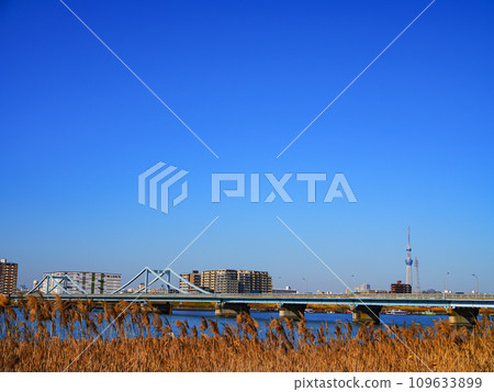 View of Sky Tree seen from the Arakawa riverbed 109633899