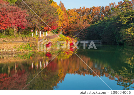 秋季十樂園(愛知縣東海市) 秋季十樂園(愛知縣東海市) 109634066