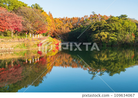 Autumn Jurakuen Park (Tokai City, Aichi Prefecture) 109634067