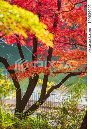 秋季十樂園(愛知縣東海市) 秋季十樂園(愛知縣東海市) 109634095