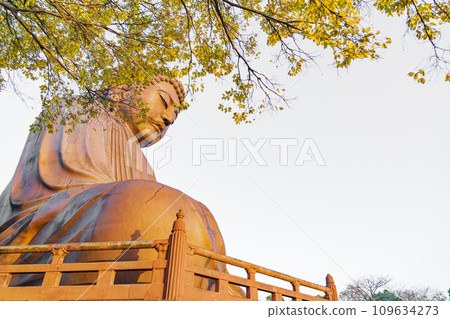 秋天的十樂園、十樂園大佛（愛知縣東海市） 109634273