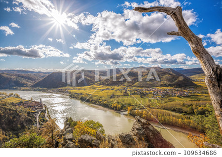 Panorama of Wachau valley (UNESCO) during autumn with Danube river near the Durnstein village in Lower Austria, Austria 109634686
