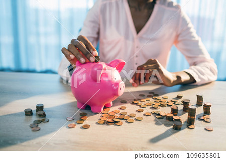 Money saving concept. Deposit money in a bank photo background 109635801