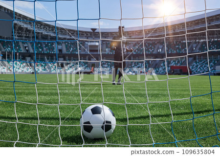 soccer player kicks the ball into the goal at the stadium 109635804