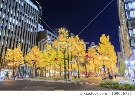 大阪市中央區禦堂筋燈飾 大阪市中央區禦堂筋燈飾 109636785
