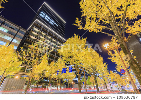 大阪市中央區禦堂筋燈飾 109636787