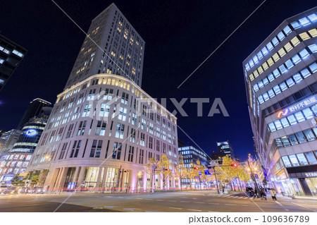 大阪市中央區禦堂筋燈飾 大阪市中央區禦堂筋燈飾 109636789