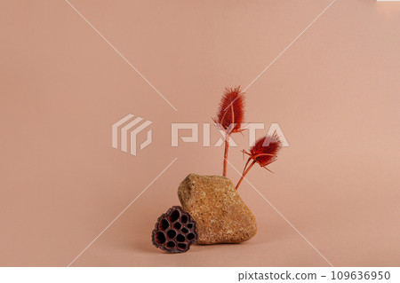 Abstract nature scene with composition of stone and dry plants. beige background for cosmetic, beauty product branding, identity and packaging. Natural pastel colors. Copy space Abstract nature scene with composition of stone and dry plants. beige background for cosmetic, beauty product branding, identity and packaging. Natural pastel colors. Copy space 109636950