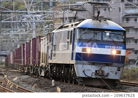 東海道幹線真鶴 JR 貨運 EF210-128（岡山） 109637628