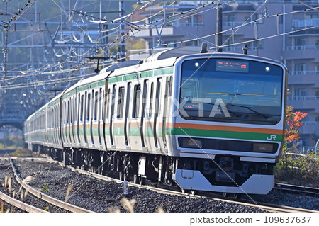 東海道本線萬鶴JR東E231系列1000系列S-18編隊（國富） 109637637