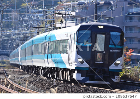 東海道本線真鶴 JR 東 E257 系列 2500 系列 NC-33 編隊（大宮）Odoriko 109637647
