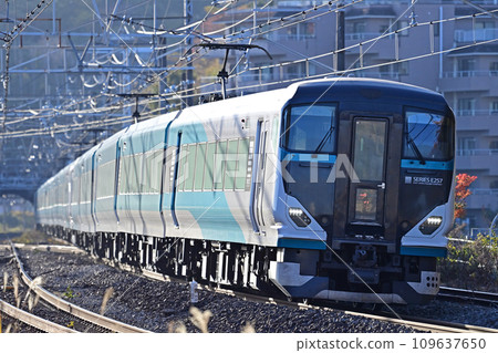 東海道幹線真鶴JR東日本E257系列2500系列NC-34編隊(大宮)舞者 東海道幹線真鶴JR東日本E257系列2500系列NC-34編隊(大宮)舞者 109637650