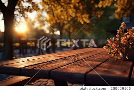 sitting on an empty wooden table in a park 109639106