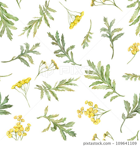 Seamless pattern watercolor common tansy. Yellow field flowers. Hand drawn illustration isolated background. Wallpaper with botanical medicinal wildflowers Seamless pattern watercolor common tansy. Yellow field flowers. Hand drawn illustration isolated background. Wallpaper with botanical medicinal wildflowers 109641109