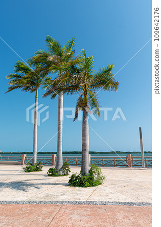 Malecon Tajamar in Cancun, Quintana Roo, Mexico 109642176