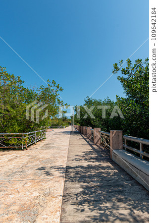 Malecon Tajamar in Cancun, Quintana Roo, Mexico 109642184