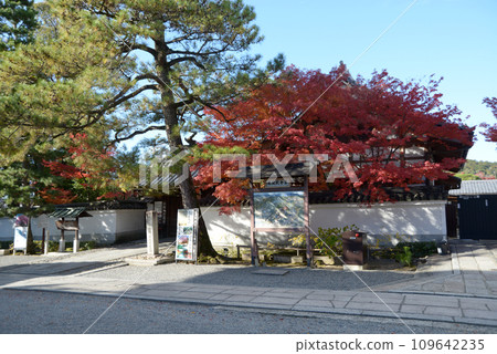 秋天 妙心寺 京都市右京區泰藏院花園 秋天 妙心寺 京都市右京區泰藏院花園 109642235