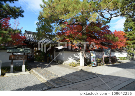 秋天 妙心寺 京都市右京區泰藏院花園 秋天 妙心寺 京都市右京區泰藏院花園 109642236