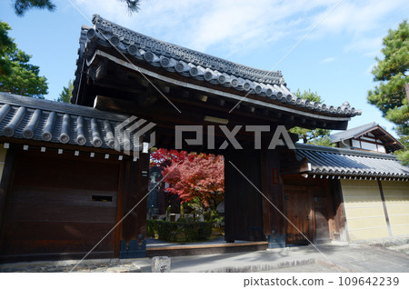 秋天 妙心寺 靈雲院山門花園 京都市右京區 109642239