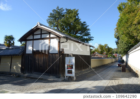 Myoshinji Temple in Autumn, the approach to Daihoin and Gyokuryuin, Hanazono, Ukyo Ward, Kyoto City 109642290