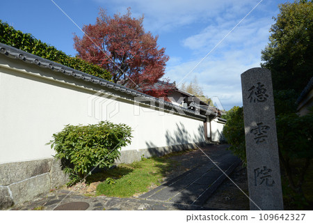 秋天的妙心寺，京都市右京區花園德雲院的參道 109642327