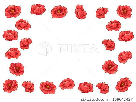 Frame with poppies flowers. Beautiful decorative plants. 109642427