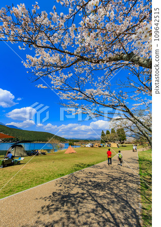 靜岡縣富士宮市春湖狸露營地 109642515