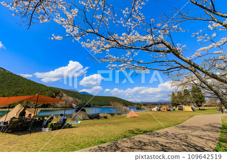 靜岡縣富士宮市春湖狸露營地 109642519