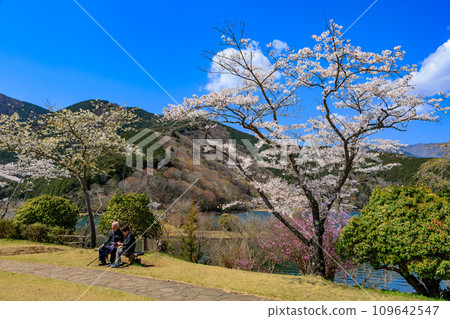 Shizuoka Prefecture, Fujinomiya City, Spring Lake Tanuki Campground 109642547