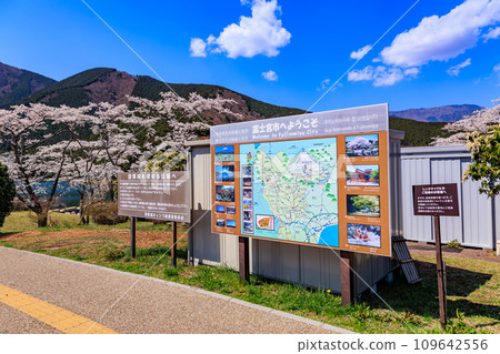 Shizuoka Prefecture, Fujinomiya City, Spring Lake Tanuki Campground 109642556