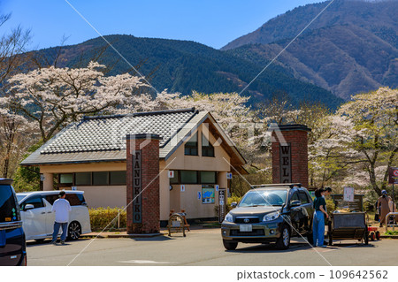 靜岡縣富士宮市春湖狸露營地 靜岡縣富士宮市春湖狸露營地 109642562