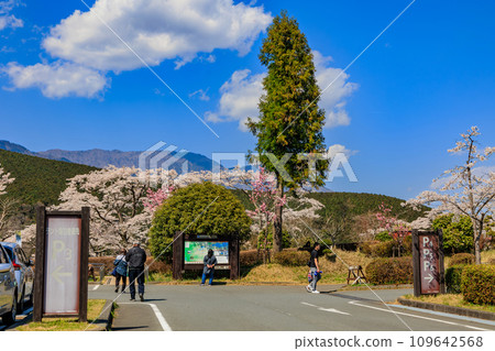 Shizuoka Prefecture, Fujinomiya City, Spring Lake Tanuki Campground 109642568
