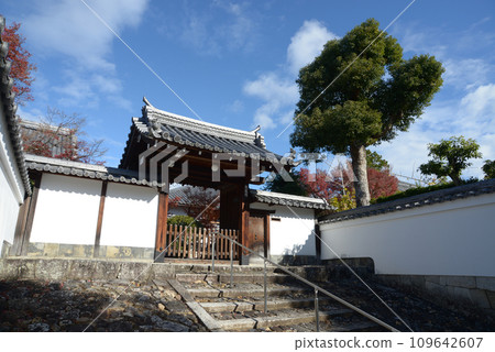 秋天 妙心寺 大龍院山門花園 京都市右京區 秋天 妙心寺 大龍院山門花園 京都市右京區 109642607