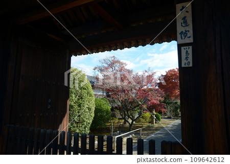 秋天 妙心寺 大津院山門花園 京都市右京區 秋天 妙心寺 大津院山門花園 京都市右京區 109642612