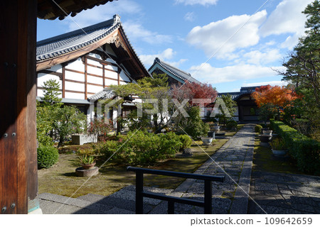 秋天的妙心寺，臨松院，從正門看到的庭院，京都市右京區花園 109642659