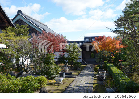 Autumn Myoshinji Temple, Rinshoin Precincts, Hanazono, Ukyo Ward, Kyoto City 109642660