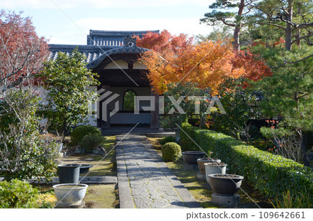 Autumn Myoshinji Temple, Rinshoin Precincts, Hanazono, Ukyo Ward, Kyoto City Autumn Myoshinji Temple, Rinshoin Precincts, Hanazono, Ukyo Ward, Kyoto City 109642661