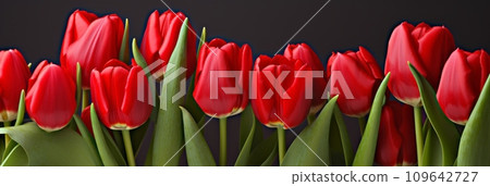 Bouquet of tulips isolated on a black background, 109642727