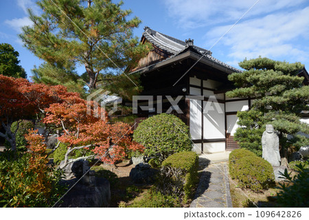 Myoshinji Temple in Autumn, Tenshoin Precincts, Hanazono, Ukyo Ward, Kyoto City Myoshinji Temple in Autumn, Tenshoin Precincts, Hanazono, Ukyo Ward, Kyoto City 109642826