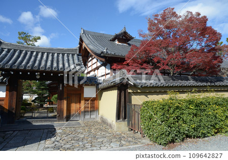 Autumn Myoshinji Temple Kingyuin Hanazono, Ukyo Ward, Kyoto City Autumn Myoshinji Temple Kingyuin Hanazono, Ukyo Ward, Kyoto City 109642827