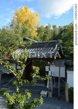 Autumn Myoshinji Temple, Keishunin Sanmon, Hanazono, Ukyo Ward, Kyoto City 109642965