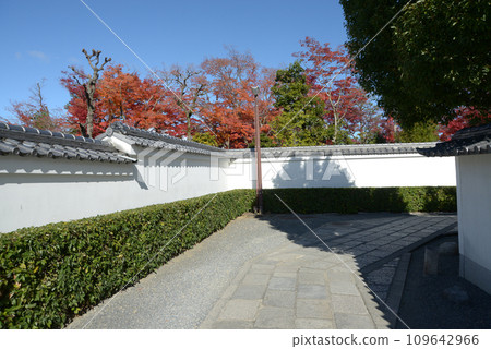 Autumn Myoshinji Temple Bantoin White Wall Hanazono, Ukyo Ward, Kyoto City 109642966