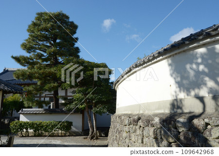秋天的妙心寺,彎曲的白色柵欄,京都市右京區花園 秋天的妙心寺,彎曲的白色柵欄,京都市右京區花園 109642968