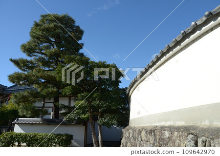 秋天的妙心寺，彎曲的白色柵欄，京都市右京區花園 109642970