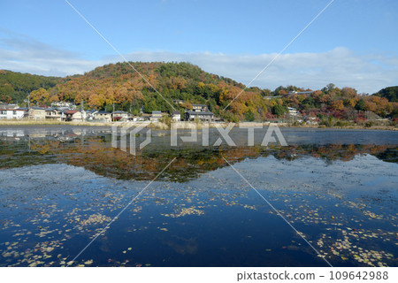 Deep mud pond in autumn Kamigamo, Kita Ward, Kyoto City 109642988
