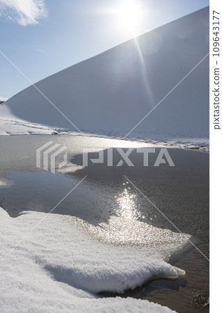 鳥取沙丘的雪景 109643177